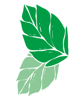 Large cartoon image mint leaves