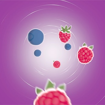 A delicious combination of red fruits flavoured mints: the tangy notes of bursting blueberry and sweet ripe raspberry