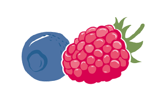 Cartoon fruit imagery of a raspberry and blue berry